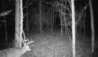 JINKS ROAD, Bernice, LA 71222