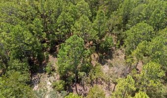 TBD 65th St, Bell, FL 32619