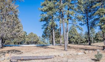 151 Crown Ridge Rd 1, Alto, NM 88312