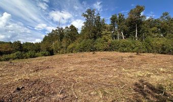 13 44 Ac Chestnut Ridge Rd, Allardt, TN 38504