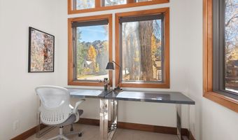 602 W Hallam St, Aspen, CO 81611