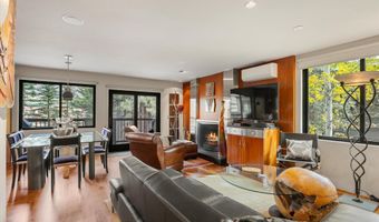 650 S Monarch St 9, Aspen, CO 81611