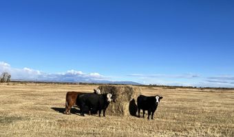 19033 Cr G, Antonito, CO 81120