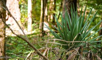 Cypress Pointe Drive lot 8, Brooksville, MS 39739