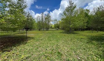 Crescent Hill Road, Andes, NY 13731