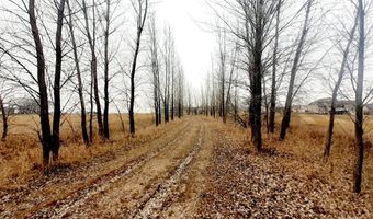 Frenzel Drive, Arlington, MN 55307