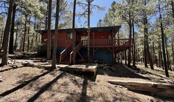3 County Road 2089, Alpine, AZ 85920
