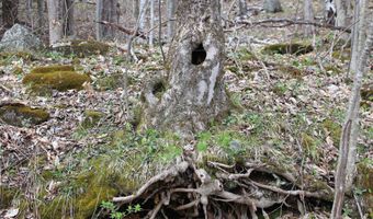 Upper Meehan Road, Bristol, VT 05443