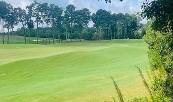 124 Hawks Ct, Ball Ground, GA 30107