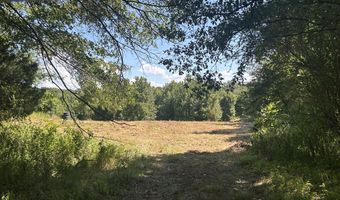 001 Farr Rd, Bolton, MS 39041