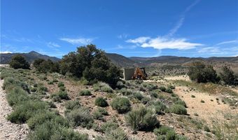 1480 WILD HORSE Run, Dyer, NV 89010