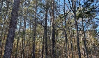 3015 Timber Woods Dr Lot 8, Appling, GA 30802