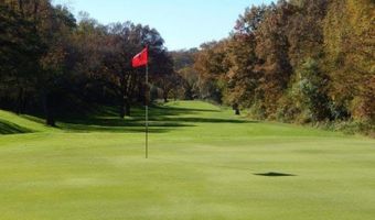 11 A65 Fairway Dr, Apple River, IL 61001