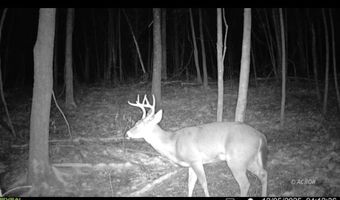 9888 Salem Rd, Athens, OH 45701