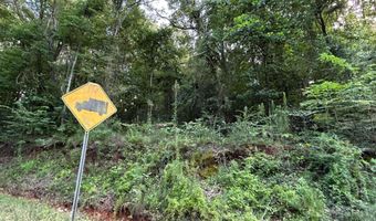 ALEXANDRIA WELLINGTON ROAD lot 14, Alexandria, AL 36250