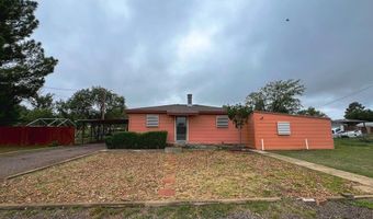 510 E Ave A, Alpine, TX 79830