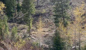 Quartz Creek Rd, Atlanta, ID 83647