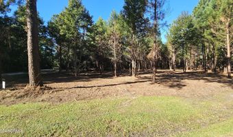 22 Peterson Creek Rd, Aurora, NC 27806