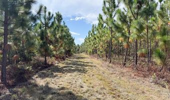 100 Doc Hunter Rd, Baxley, GA 31513