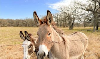236 HCR 2215, Aquilla, TX 76622