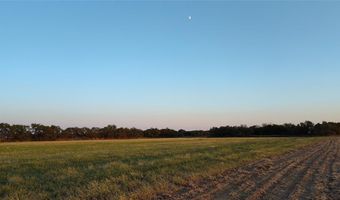 5428 CR 364, Anson, TX 79501