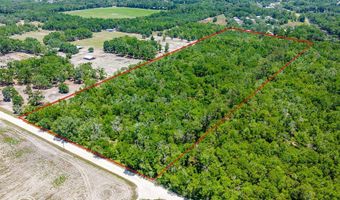 NW 40th Ave, Bell, FL 32619