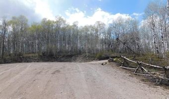 4051 Golden Stone Ln, Ashton, ID 83420