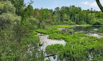 425 Courtney Rd, Addison Twp., MI 48367