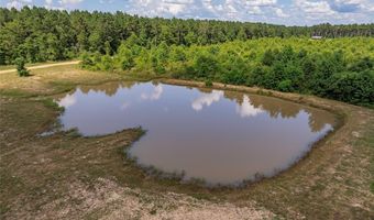 2616 Bodcau Dam Rd, Benton, LA 71006