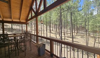 15 County Road 2065, Alpine, AZ 85920
