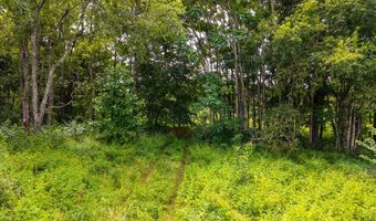 Holiday Lake Rd, Appomattox, VA 24522