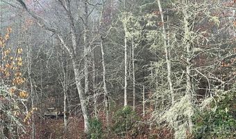 Kimiko Lane lot 43, Balsam Grove, NC 28708