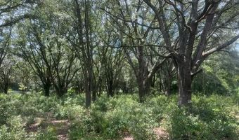 3109 US Hwy 129, Bell, FL 32619