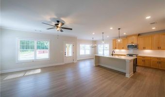 373 Creek Wood Park Dr, Ball Ground, GA 30107