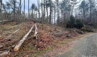 99999 Big Rock Creek Dr, Bakersville, NC 28705