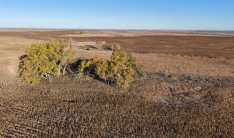 00000 CR 140, Alexander, KS 67513
