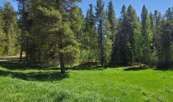 4085 LEIGH Ln, Alta, WY 83414