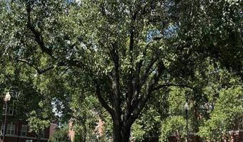 3401 38TH St NW Twr-219, Washington, DC 20016