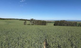 N 4600 E, Ashton, ID 83420