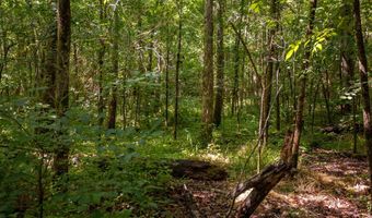 23680 Highway 58, Baskerville, VA 23915
