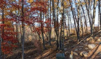 Lot 93 Peregrine Trail, Banner Elk, NC 28604