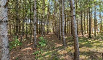 3411 Pawnee Dr SE, Alexandria, MN 56308