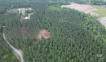 Ronald Sanks Road, Bay Minette, AL 36507