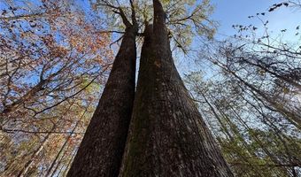 5400 COUNTY ROAD 128, Alexander City, AL 35010