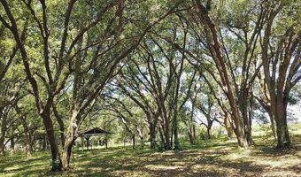 23261 Tuckahoe, Alva, FL 33920