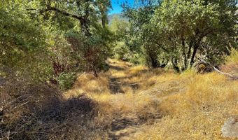 41902 Woodward Way, Ahwahnee, CA 93601