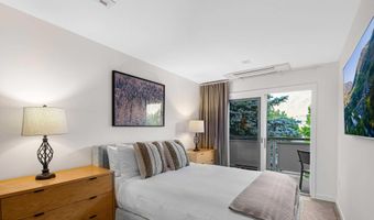 100 E Dean St 3B, Aspen, CO 81611