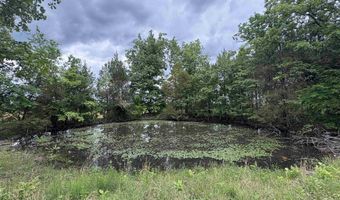 3968 HWY 167, Ash Flat, AR 72513