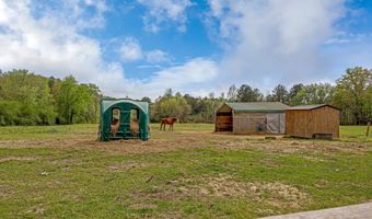 3237 MUD CREEK Rd, Adger, AL 35006