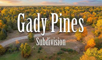 2775 Gady Pines Dr, Adrian, MI 49221